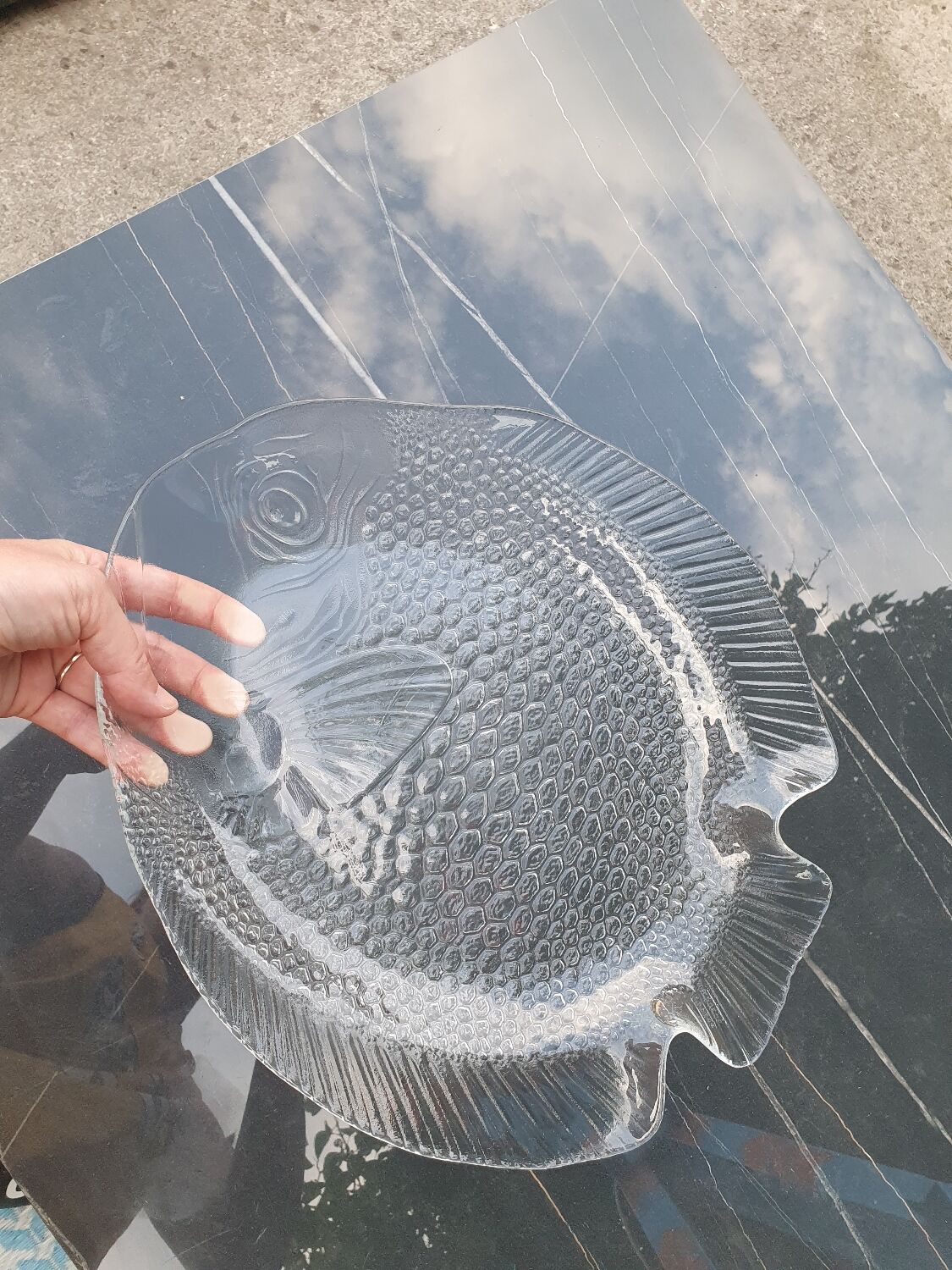 Fish dish Arcoroc