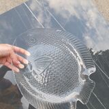 Fish dish Arcoroc