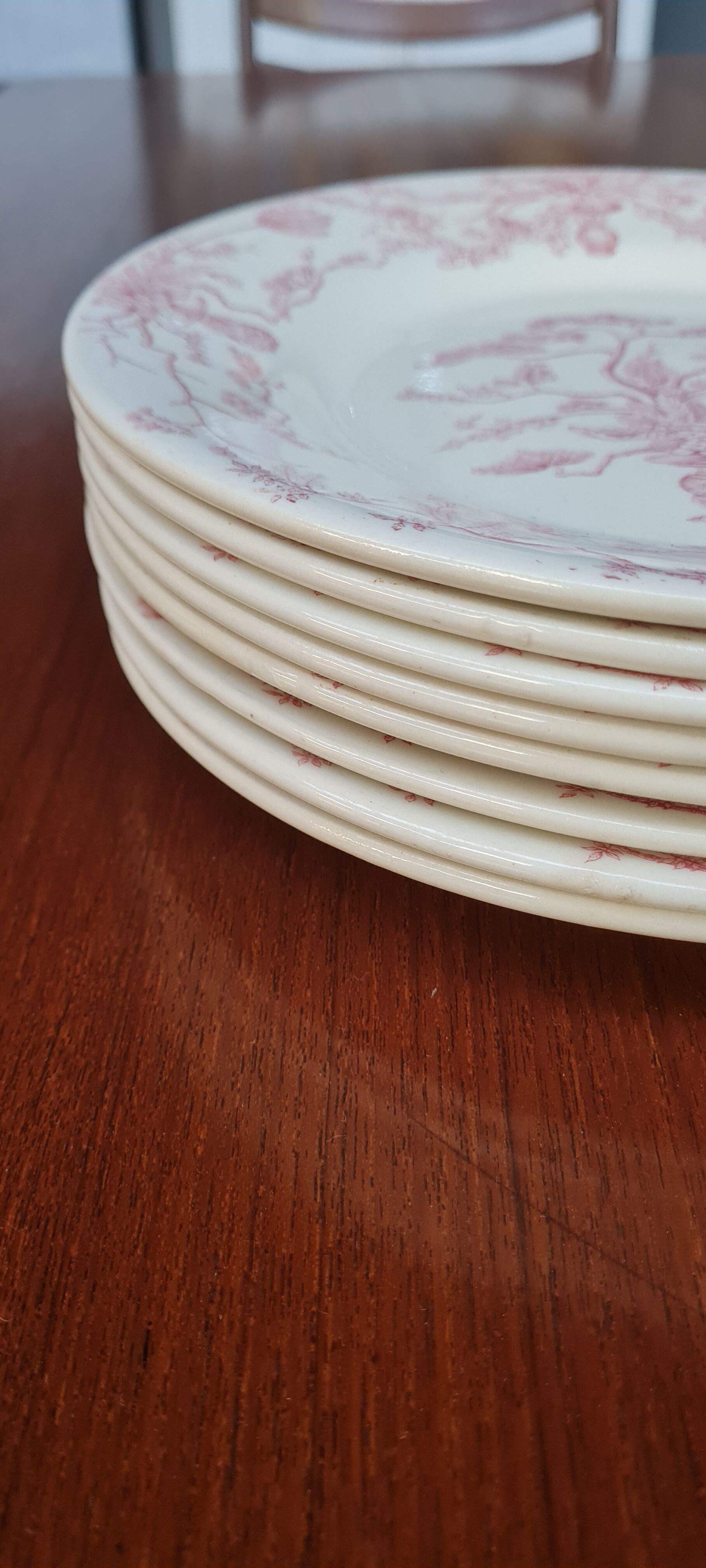 Service of 8 plates in iron earth