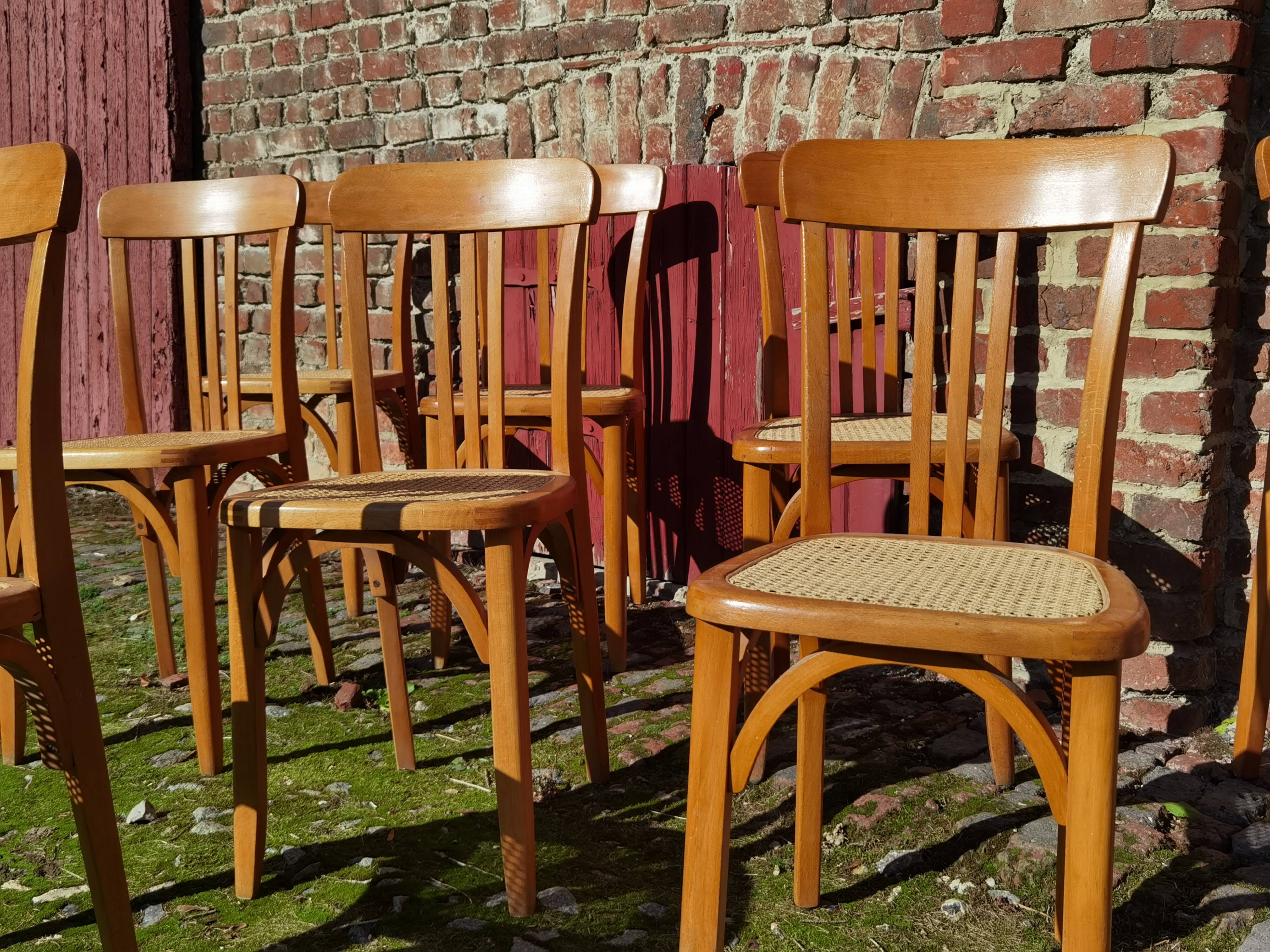 Lot of Stella cane chairs