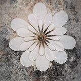 24 petal flower wall light in rattan and white linen