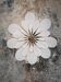 Applique murale fleur 24 pétales en rotin et lin blanc