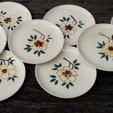 10 assiettes à dessert ceranord