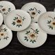 10 ceranord dessert plates