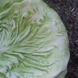 Set of 3 vintage asparagus and cabbage leaves slip dishes made in Italy