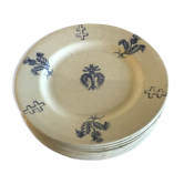 Lot of 8 plates from Lunèville