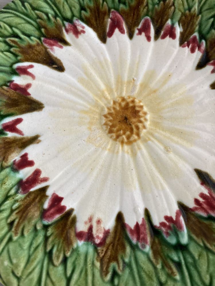 1 plate Marguerite in majolica/slip