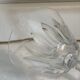 4 verres en cristal de Baccarat