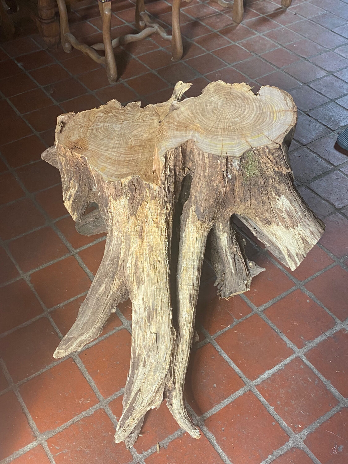 Table basse en pied de chêne