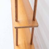 Shelving unit by W. Lutjens for Gouda den Boer, 1950's