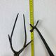 Duo gazelle and giraffe in brass 60 cm XXL vintage