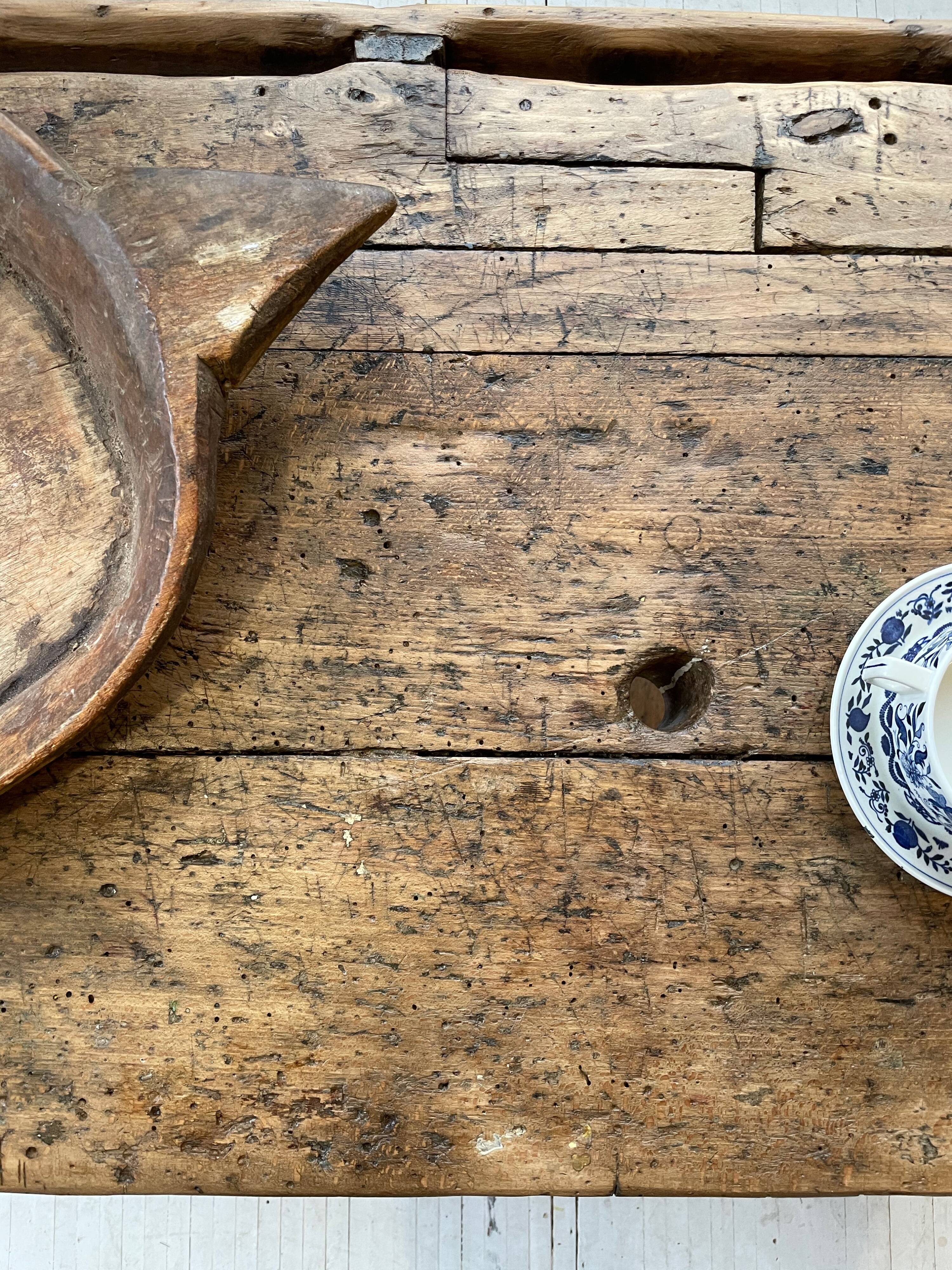 Established old oak XL