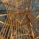 Paire de fauteuil en rotin