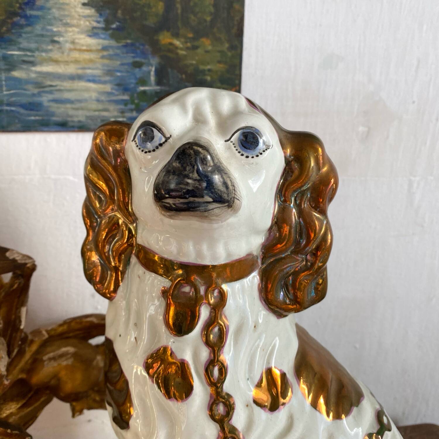 Chien Straffordshire , cavalier King, Charles