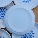 Plates