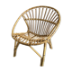Adult rattan shell armchair