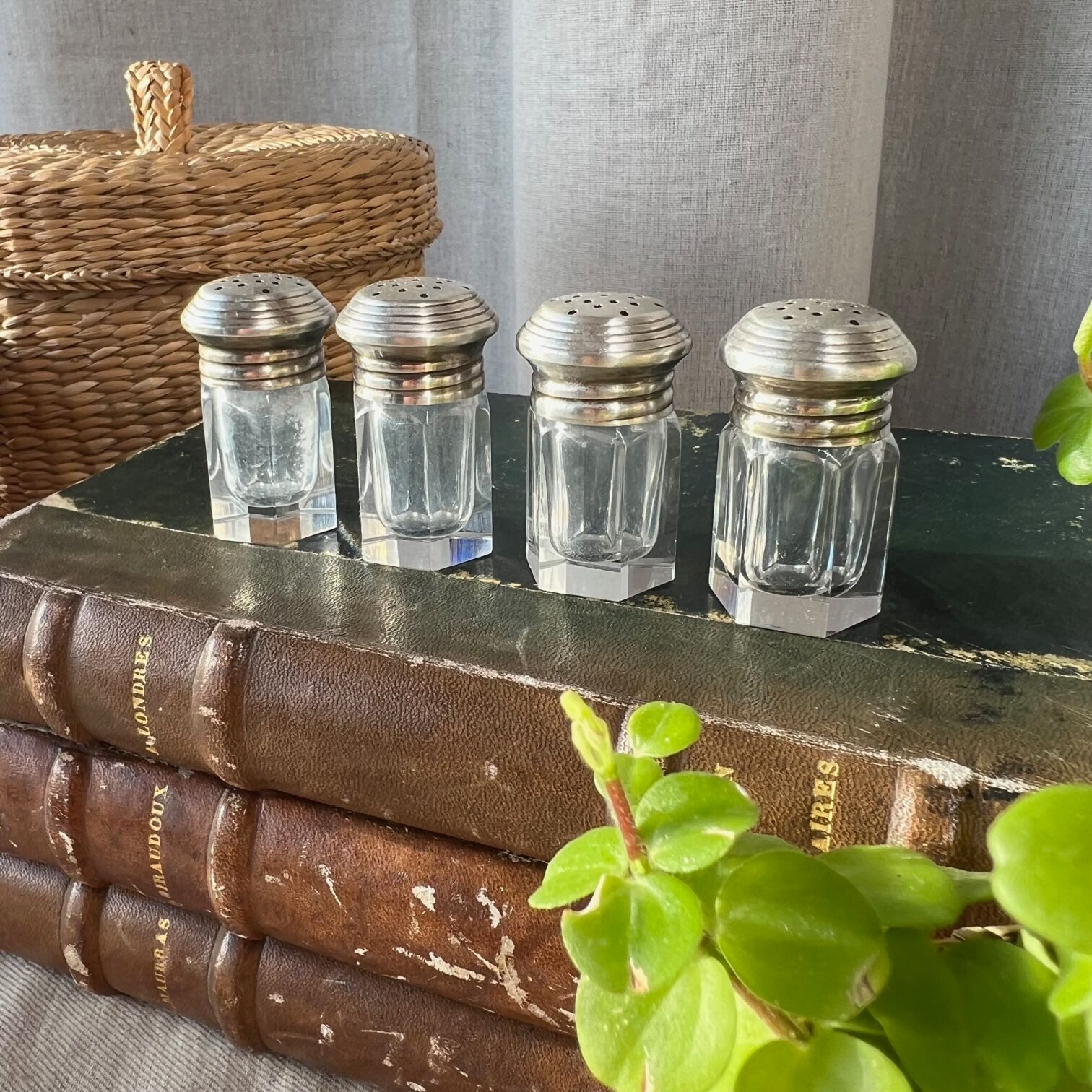 Suite of 4 individual salt shakers, silver & crystal