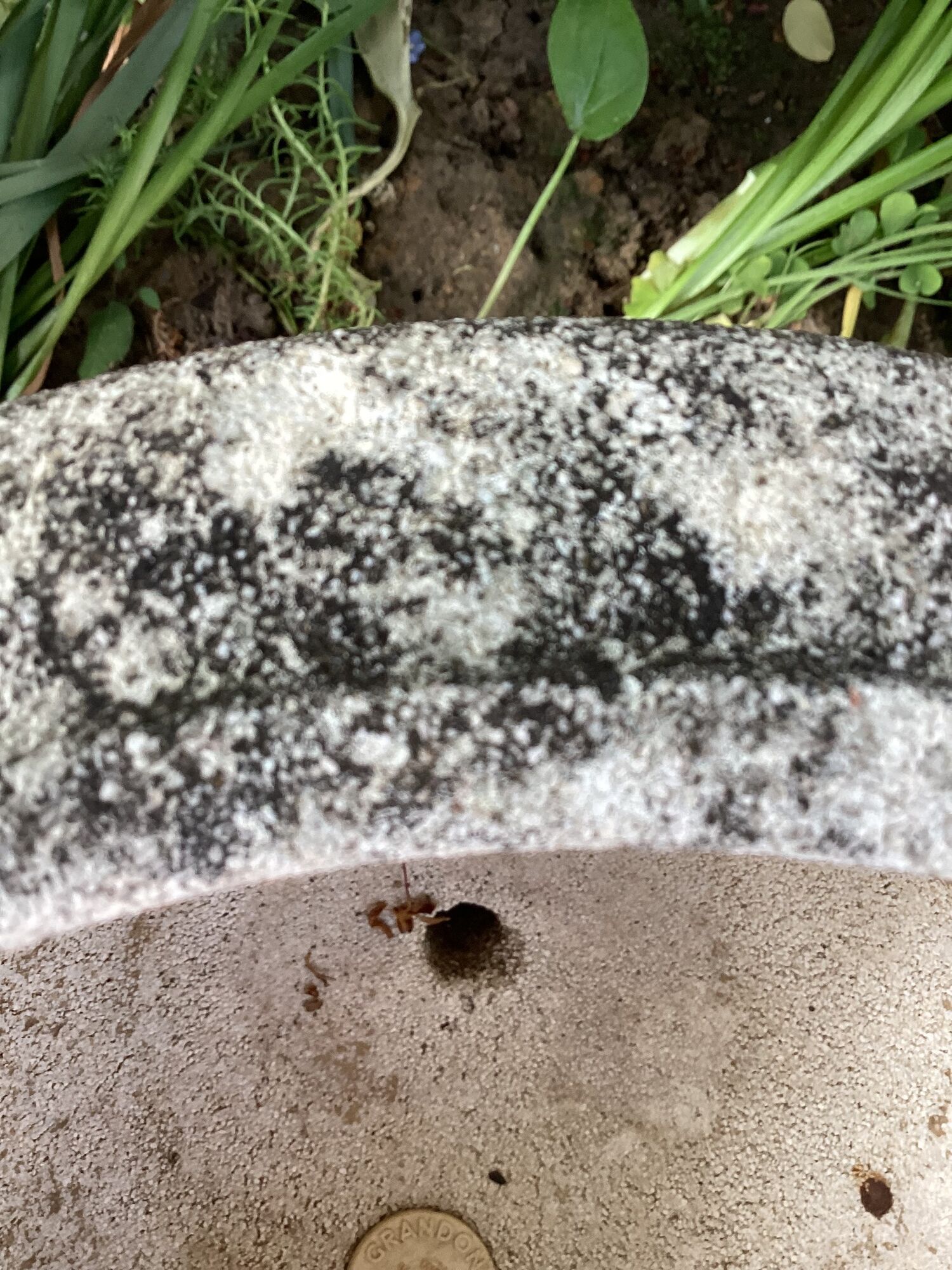 Planter basin cement Grandon Fres