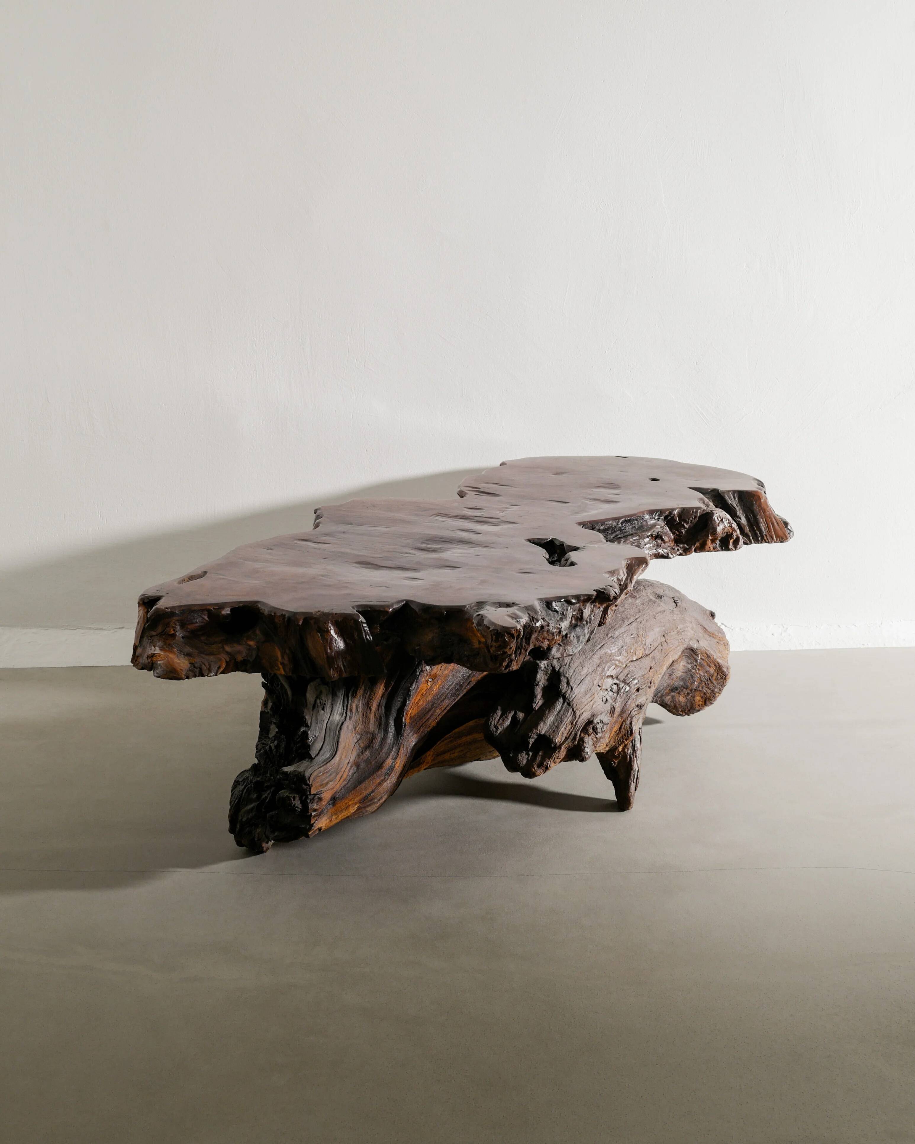 French Brutalist Sculptural Free Form Wooden Root Sofa Coffee Table, 1960s
