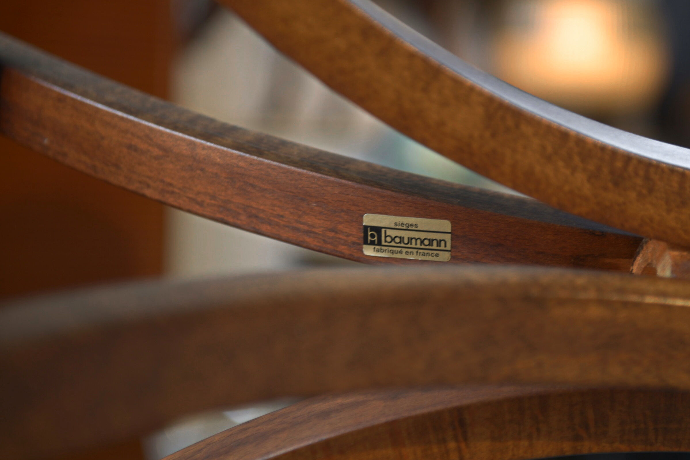 Parrot coat rack published by Baumann 1970