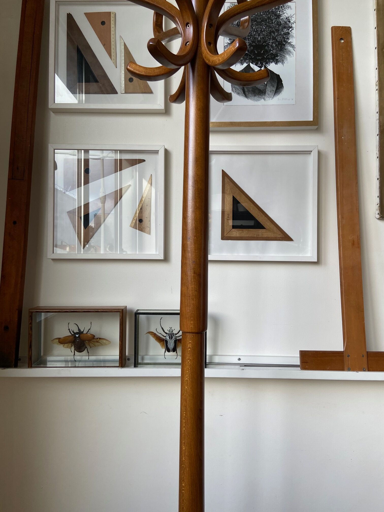 Light wooden parrot coat holder 6 patères