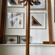 Light wooden parrot coat holder 6 patères