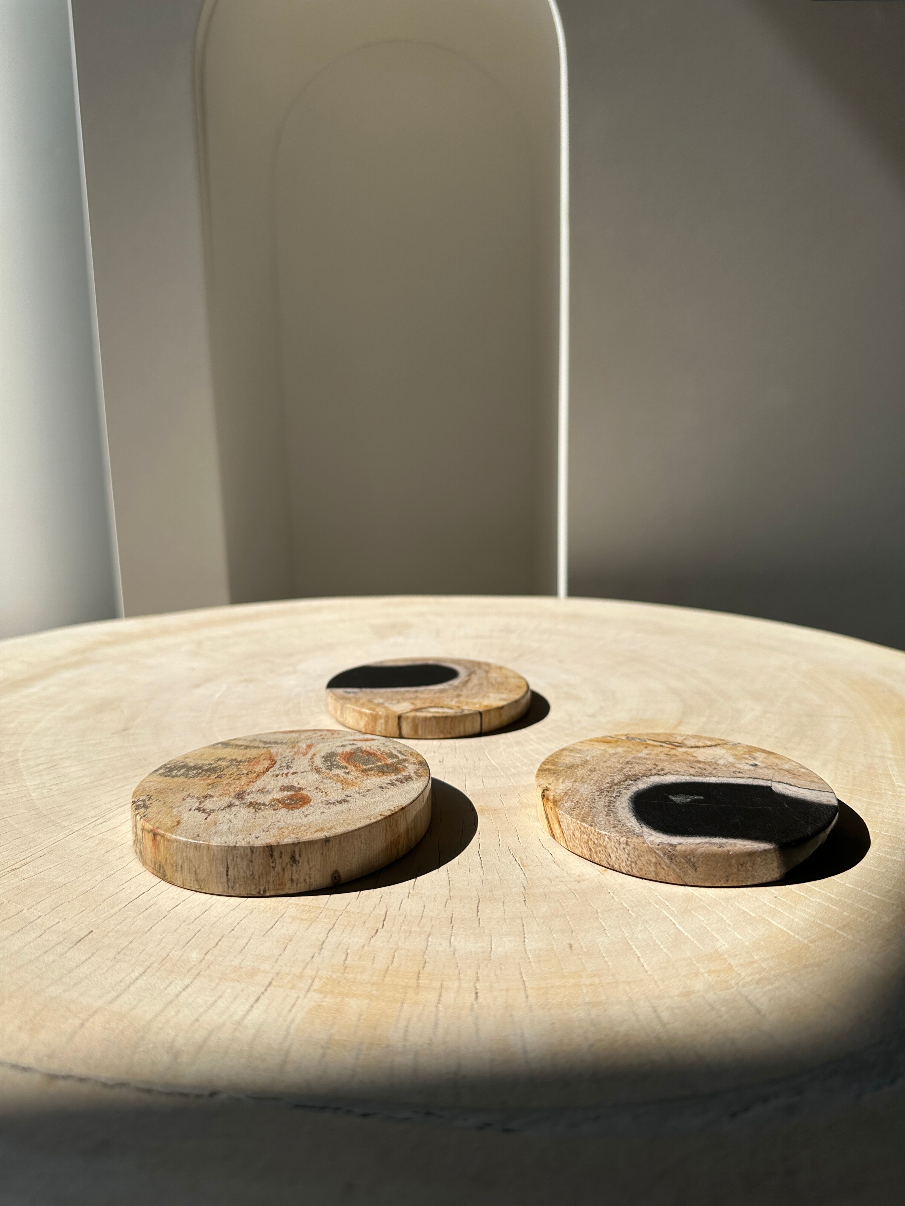 Set of 3 fossilized wooden coasters (clear)