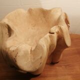 Teak root