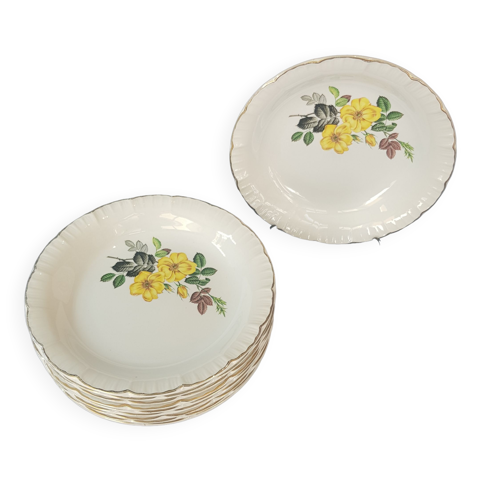 Set of 10 Digoin Sarreguemines hollow plates