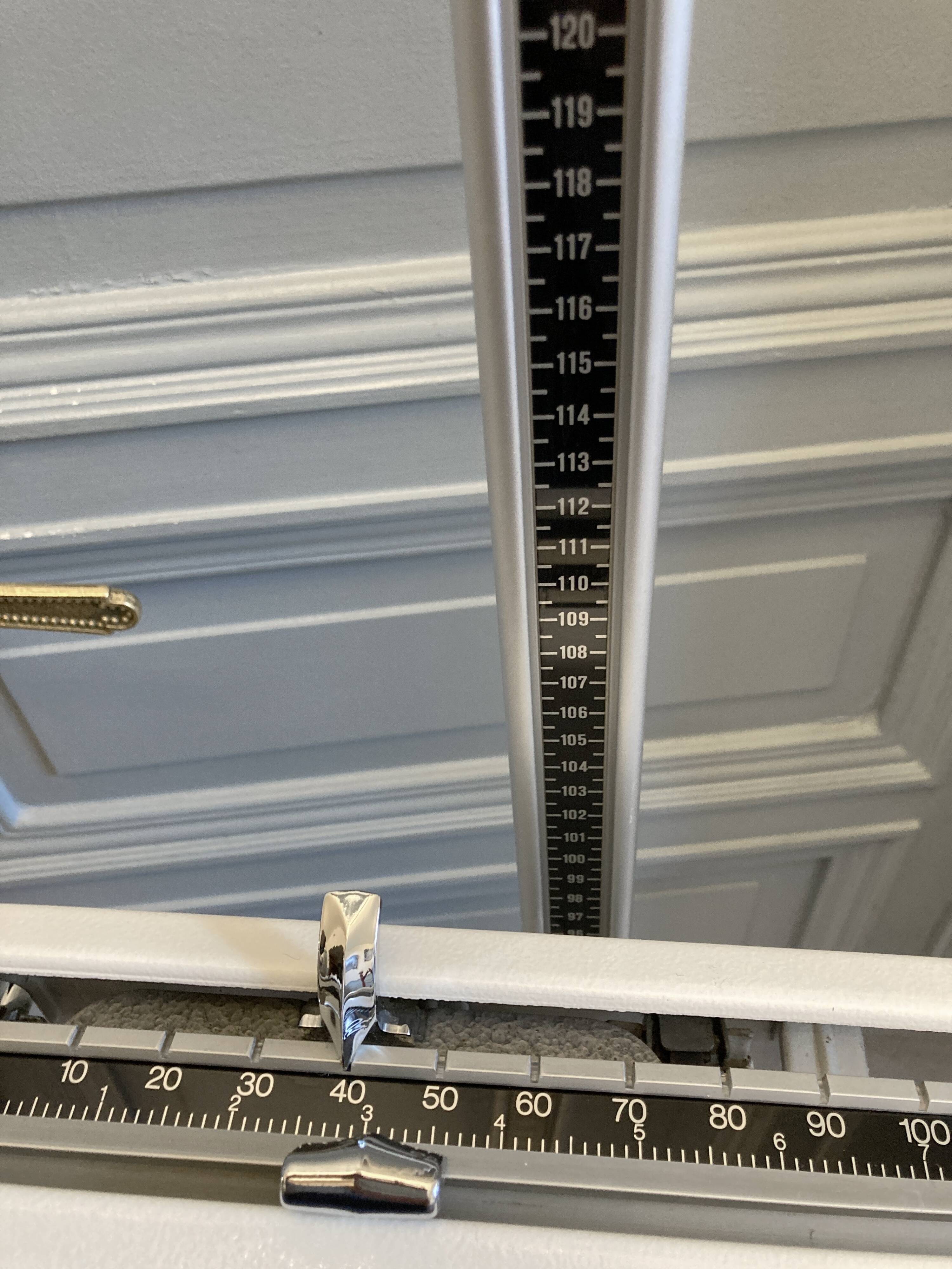 Personal scale and medicine measuring rod