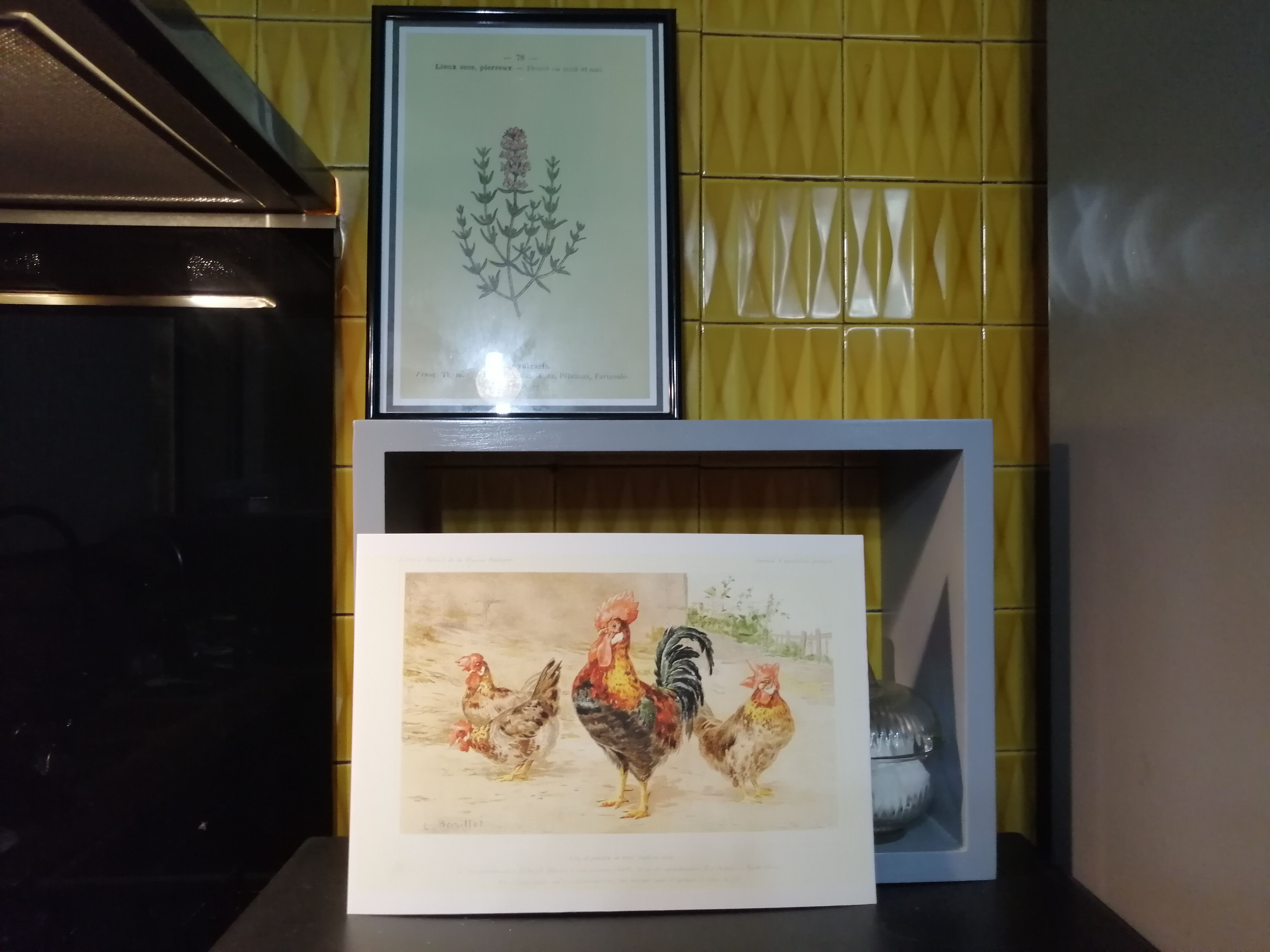 Illustration rooster and chickens