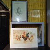 Illustration rooster and chickens