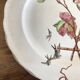 set de 12 assiettes polychrome 1850 ondulées Brownfield England oiseaux