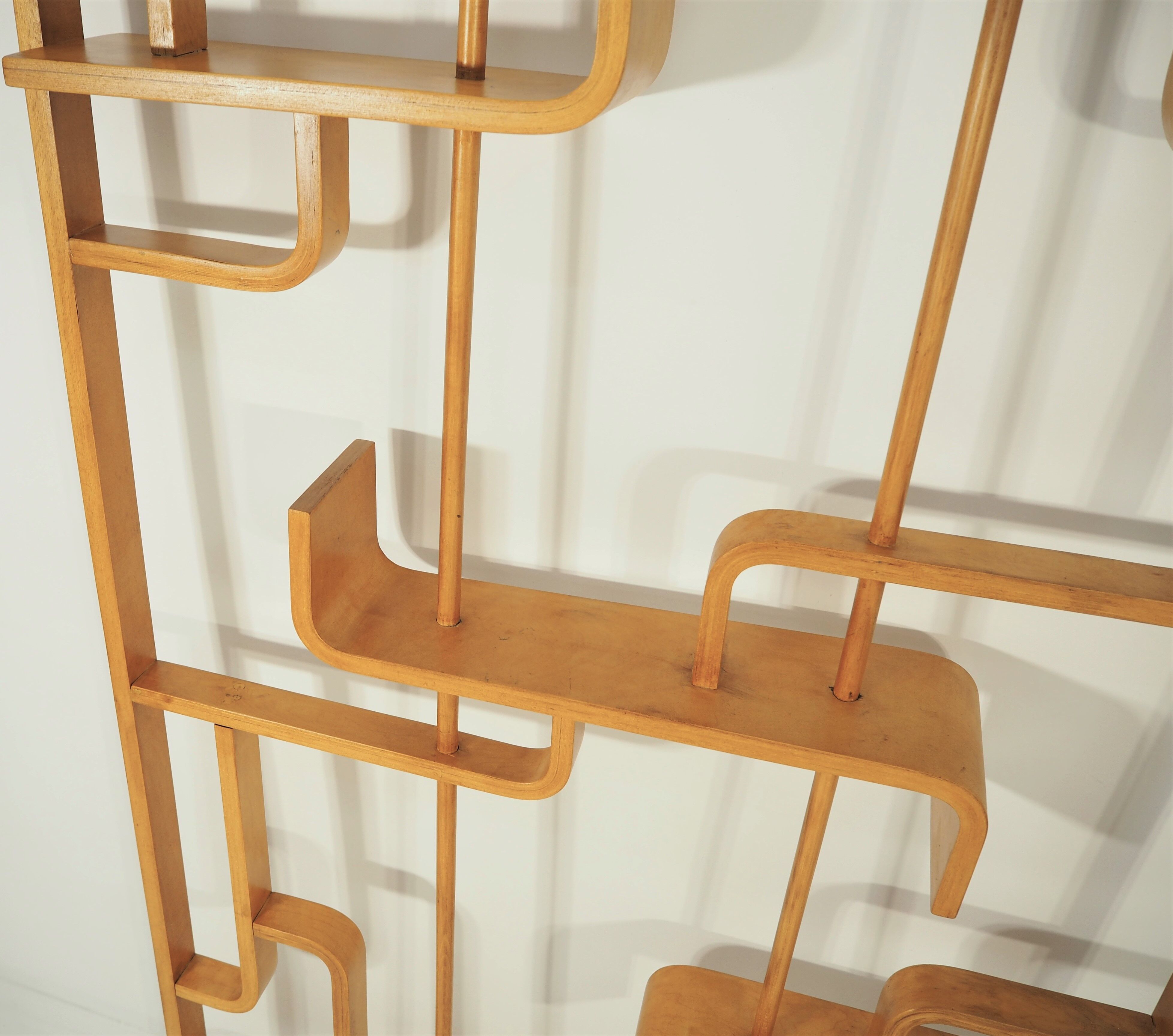 Room Divider by Ludvik Volak for Drevopodnik Holesov, 1960s