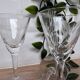 Set of 5 engraved glass liqueur glasses