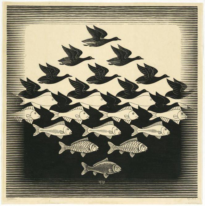 Raviers oiseaux et poissons selon Escher