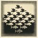 Raviers oiseaux et poissons selon Escher