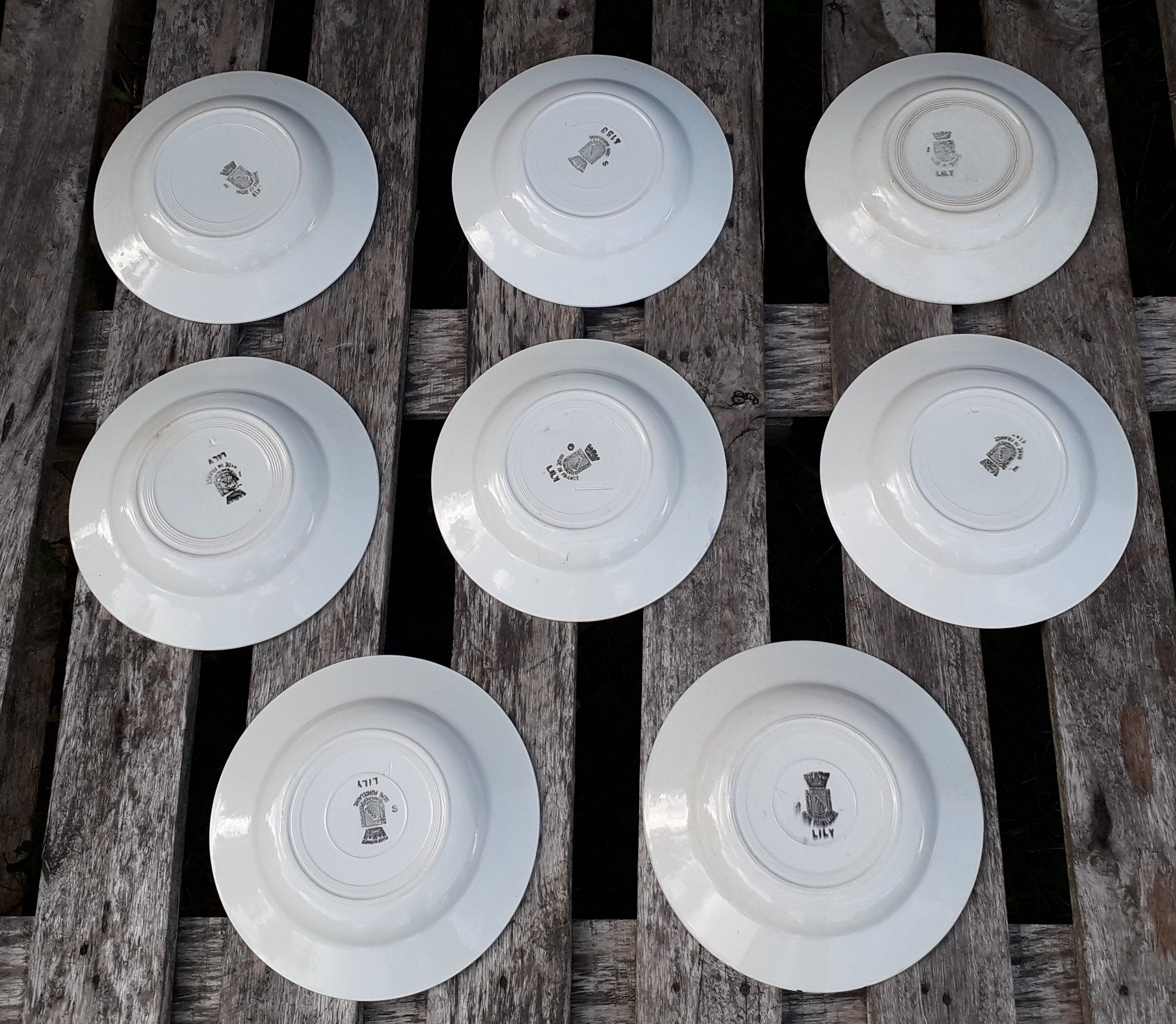 8 plates hollow ST Amand decor "Lily"