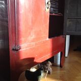 Red chinese cupboard