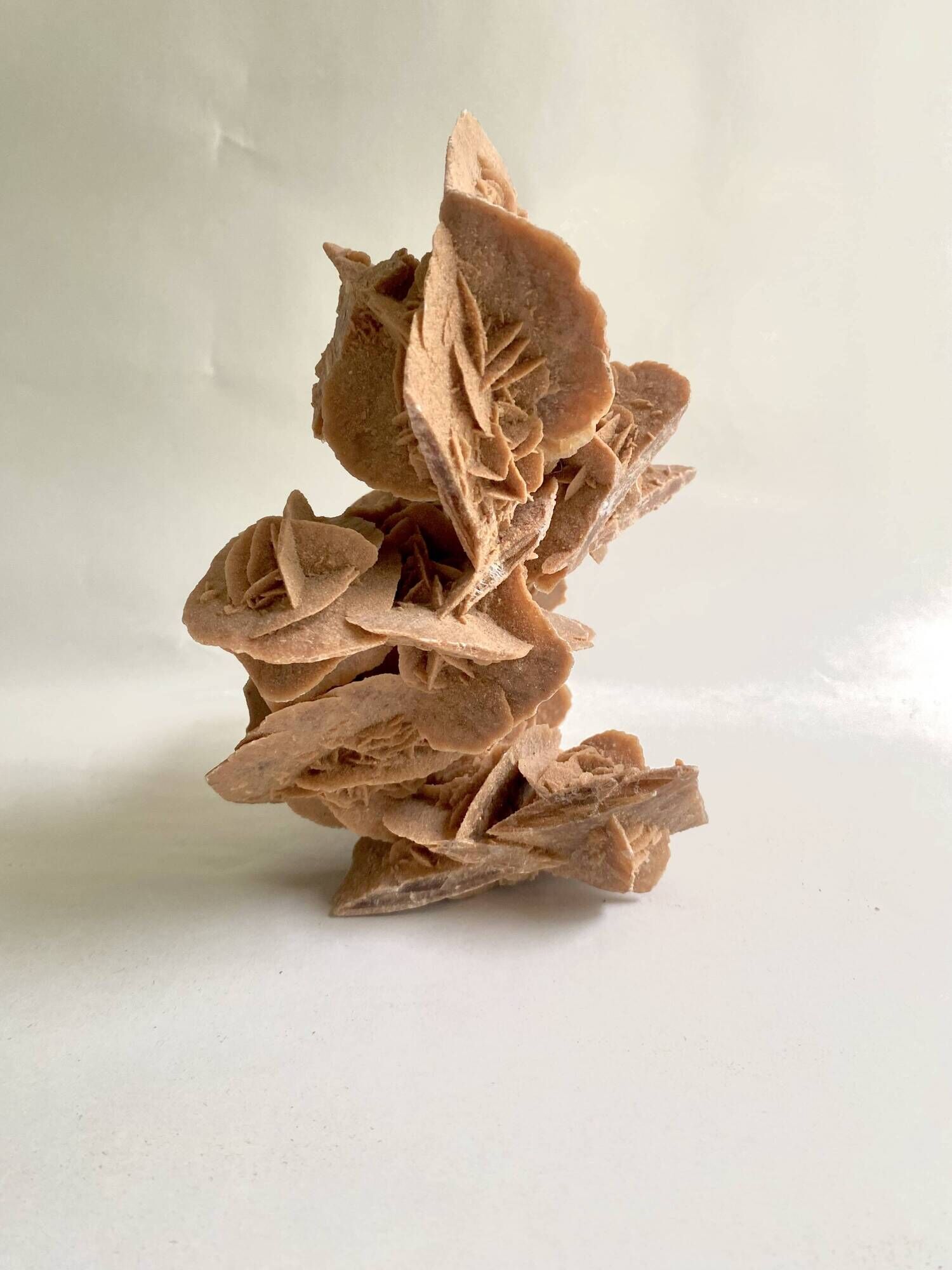Sand rose 23 cm