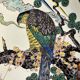 Japan, porcelain plate from Kutani with bird of prey decoration, 19th century.