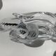 Vannes crystal fish pocket emptier
