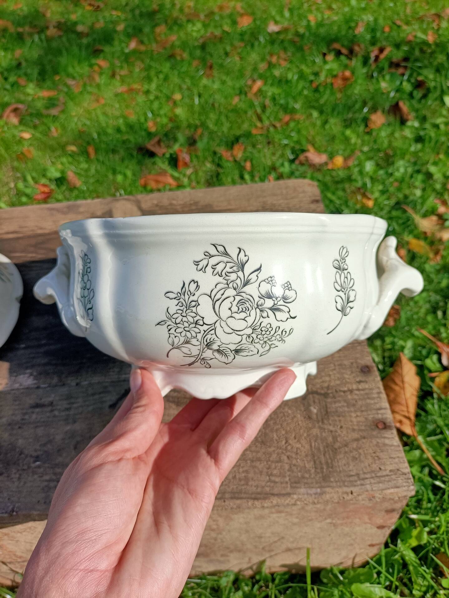 Soup tureen ~ Lunéville