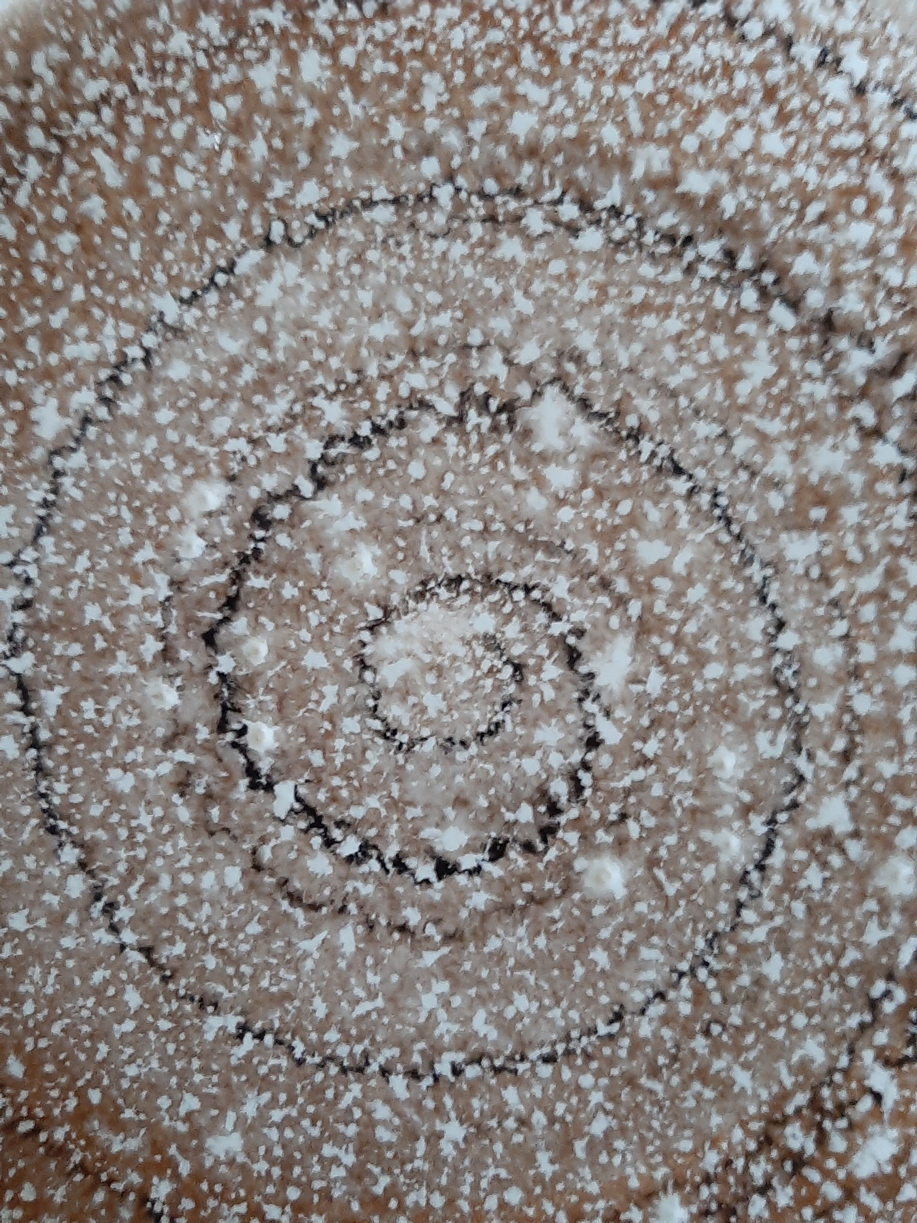 Niderviller model Ecume earthenware dessert plates