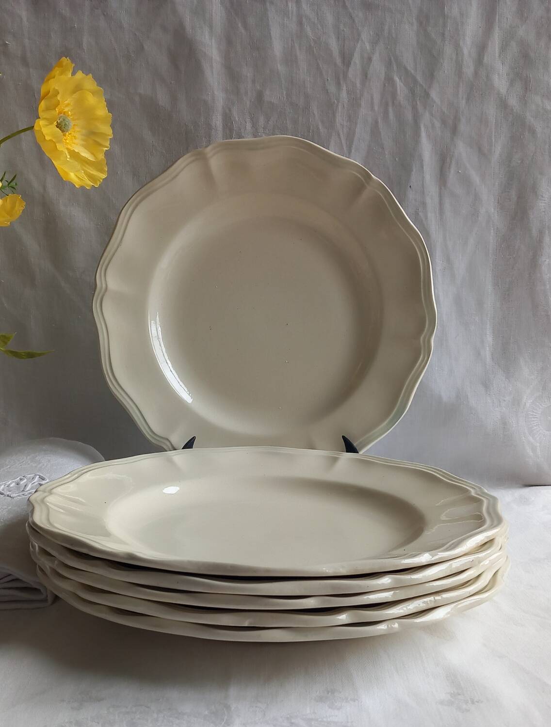🌿 6 antique Sarreguemines ivory fretwork plates