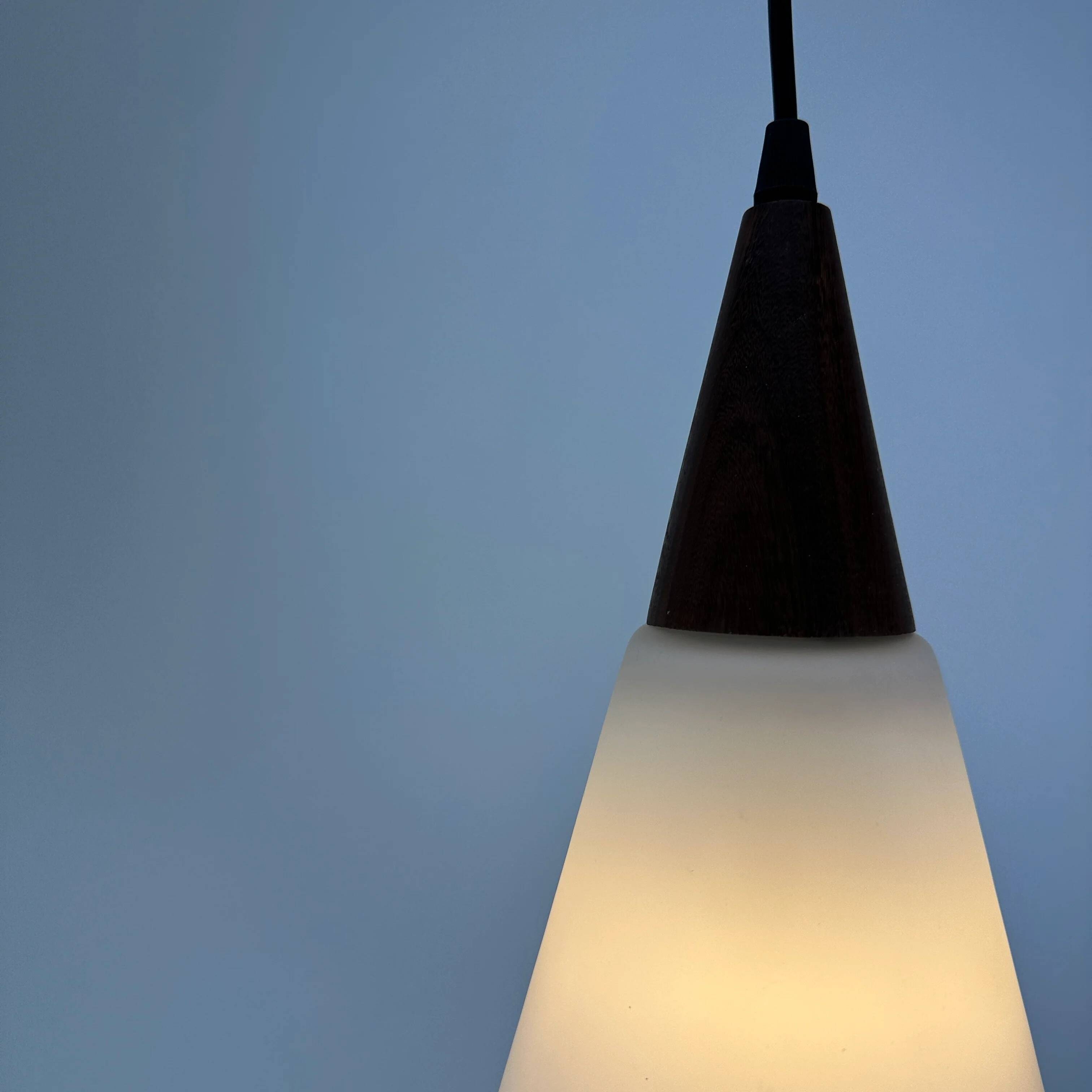 Suspended light fixture in frosted glass and wood by Philips 1950