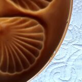 6 OYSTER PLATES amber earthenware France