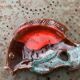 Empty pocket in glazed ceramic slip in the shape of vintage fish