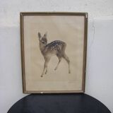 Old Fawn print