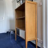 Scandinavian vintage library storage cabinet